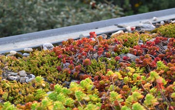the cost of Avoch green roof installation