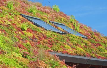 Avoch living roof systems