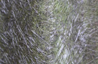 Avoch fibreglass roof work